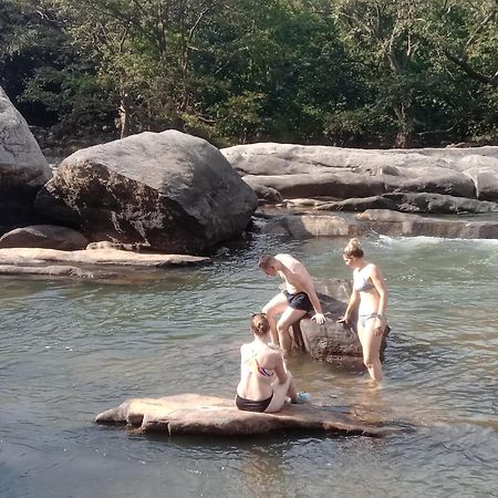 Jungle Village Homestay ピンナワラ エクステリア 写真