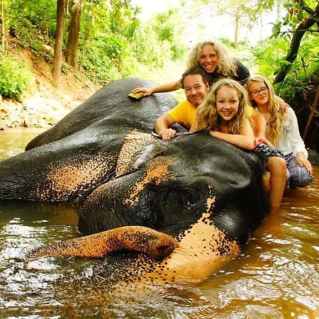Jungle Village Homestay ピンナワラ エクステリア 写真