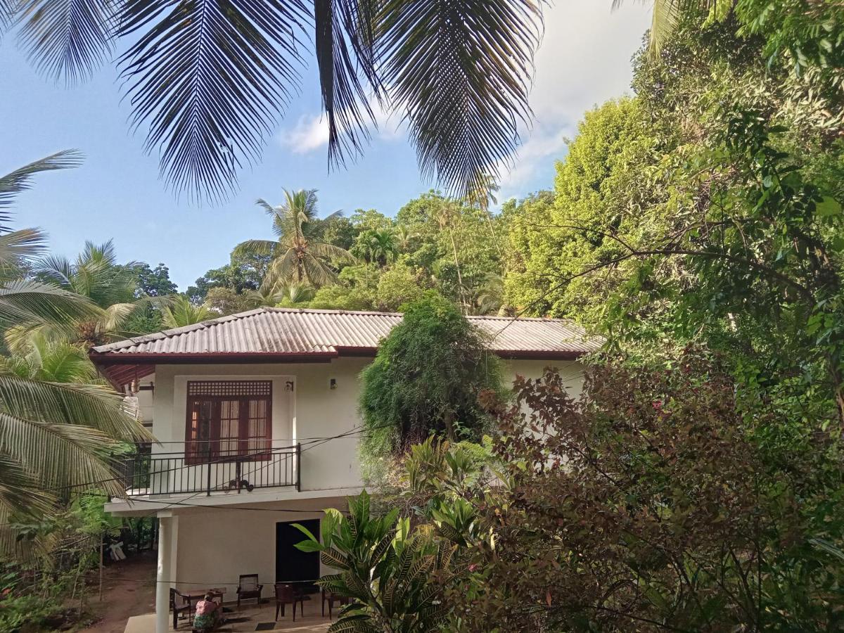 Jungle Village Homestay ピンナワラ エクステリア 写真