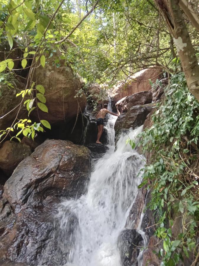 Jungle Village Homestay ピンナワラ エクステリア 写真
