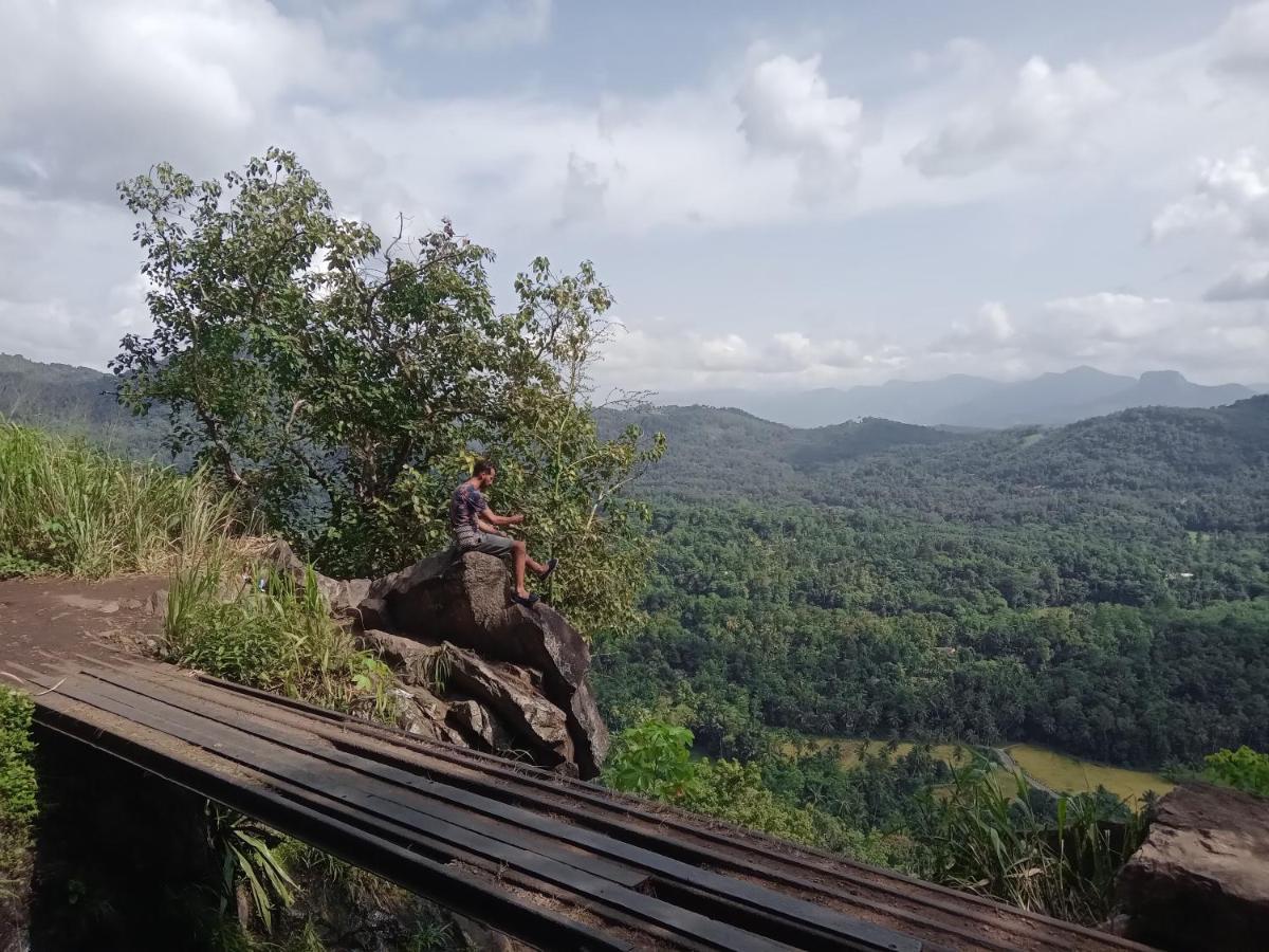 Jungle Village Homestay ピンナワラ エクステリア 写真