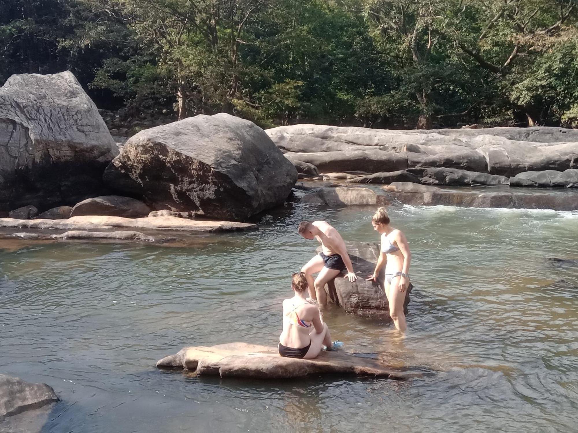 Jungle Village Homestay ピンナワラ エクステリア 写真