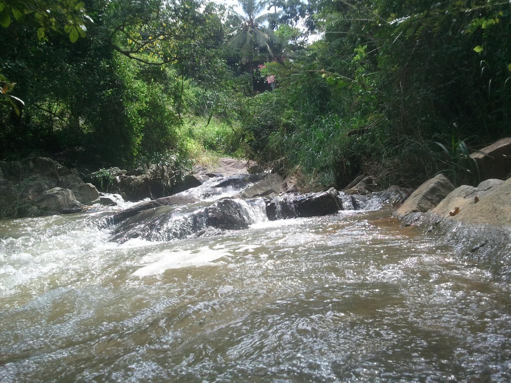 Jungle Village Homestay ピンナワラ エクステリア 写真