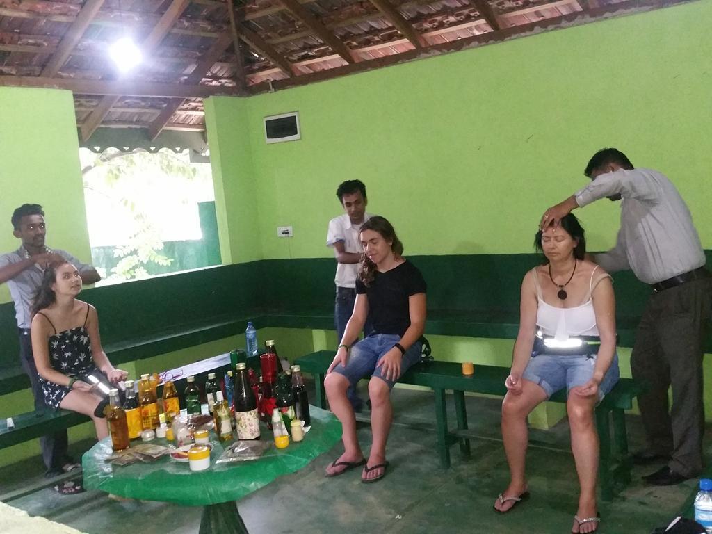 Jungle Village Homestay ピンナワラ エクステリア 写真