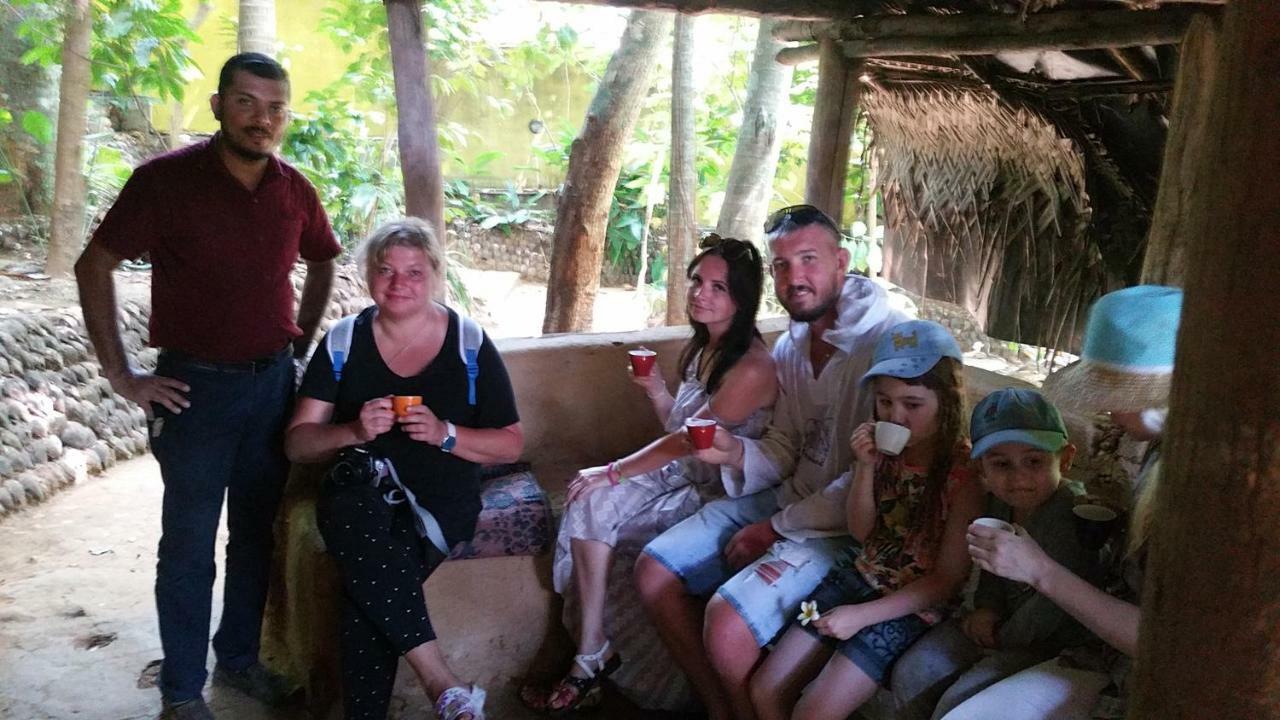 Jungle Village Homestay ピンナワラ エクステリア 写真